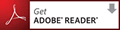 Get DOBE FLASH PLAYER